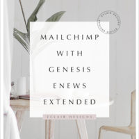 mailchimp with genesis enews extended