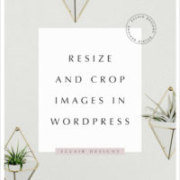 resize and crop images in wordpress
