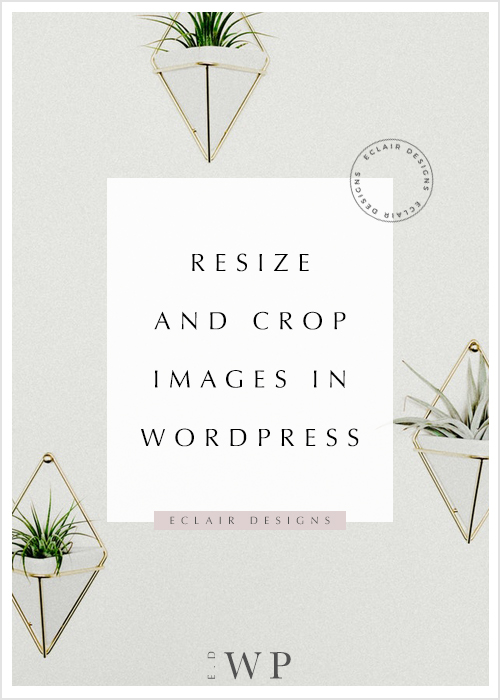wordpress image resize function